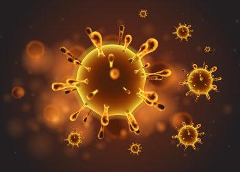 FOCUS COVID -19 – Parte 2: L’IMPATTO SULLE NOSTRE AZIENDE