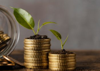 TESTIMONIANZA:  MALAGESTIONE DELL’ECONOMIA