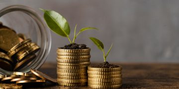 TESTIMONIANZA:  MALAGESTIONE DELL’ECONOMIA