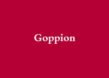 A GOPPION LA PROTEZIONE DELLA BIBLIOTECA DEL CONGRESSO DI WASHINGTON