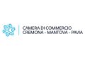 IL RUOLO STRATEGICO DELLA CAMERA DI COMMERCIO CREMONA MANTOVA PAVIA